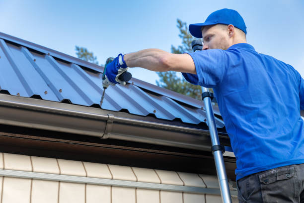 Best Roof Moss and Algae Removal  in Clairton, PA